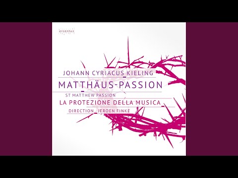 Matthäus-Passion: No. 46, Herzliebster Jesu, was hast du verbrochen