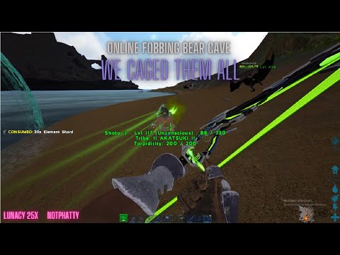 Online Raiding Bear Cave - Lunacy ARK