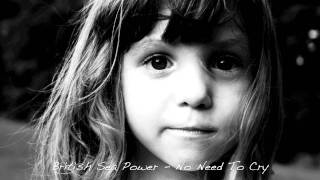 British Sea Power | No Need To Cry