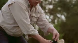 Republican Wrestles Alligator In Political Ad