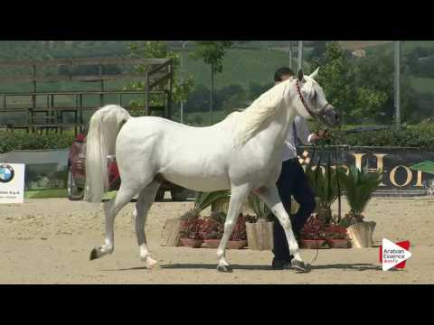 Montefalco 2016 - Classe 12