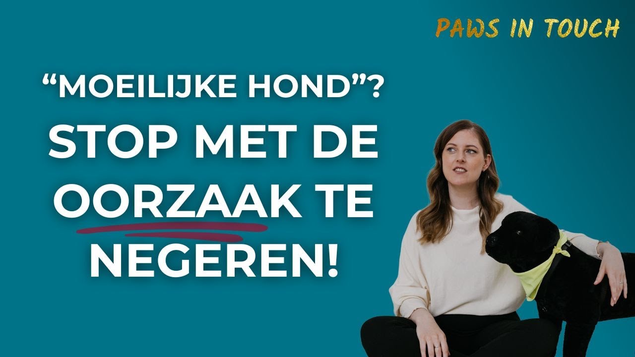 Waarom "streng zijn" niet werkt: mijn weg naar hondenbegeleiding zonder dominantie