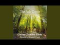 The Ash Grove