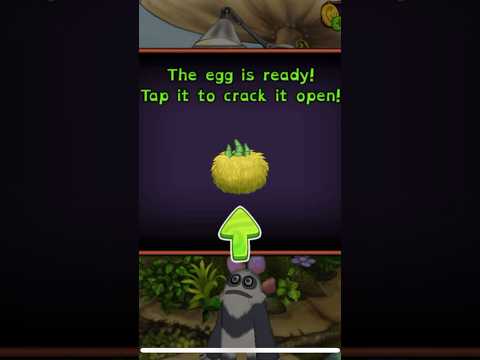 Msm,díl46 rare oaktopus