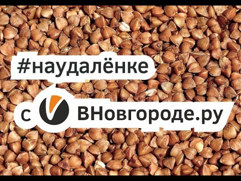 В Боровичах предприниматели заявили: лишь 10% из них получает реальную помощь. И показали губернатору выход