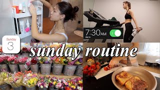 PRODUCTIVE SUNDAY RESET VLOG // organizing, grocery shopping, & deep cleaning