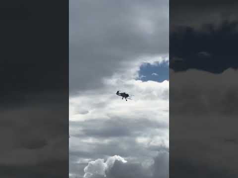 1/2 Scale Bücker Bu133C Jungmeister #rcplanes #rcaircraft #rcplanereviewer