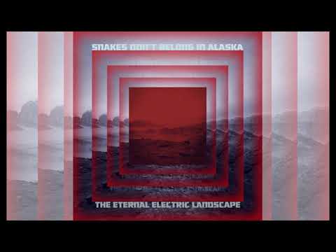 Snakes Don't Belong In Alaska - The Eternal Electric Landscape - full album (2021)