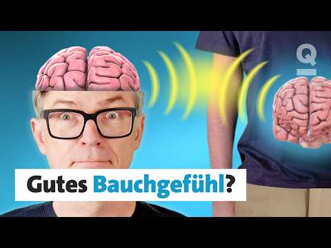 Kann ich meiner Intuition vertrauen? I Quarks Dimension Ralph