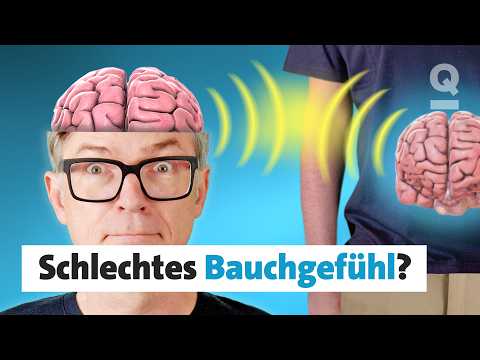 Video Thumbnail: Kann ich meiner Intuition vertrauen? I Quarks Dimension Ralph