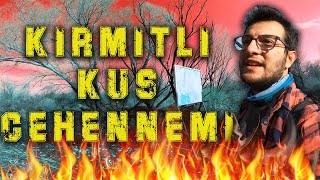 OSMANİYE KIRMITLI KUŞ CEHENNEMİ