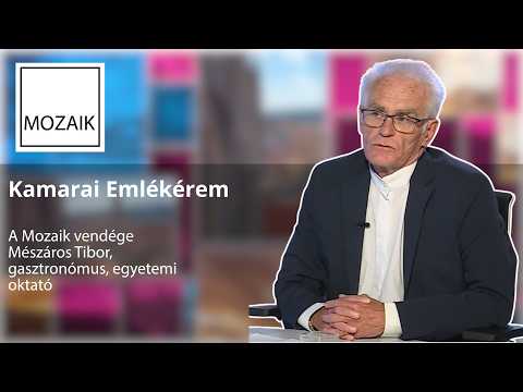 Mozaik - Kamarai Emlékérem – vendég: Mészáros Tibor