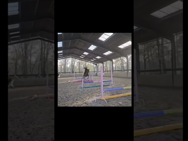 Ouvrier agricole palfrenier soigneur