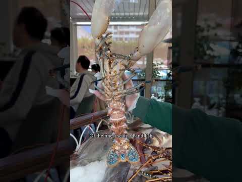 سافرنا لإسپانيا بلا ڤيزا و بلا طيارة 😂 هاد المطعم Pepe Luis تايهليك تسافر عبر الاطباق و نتا في كازا