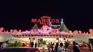 🎪 Circo Marcos Frota🤡🥳