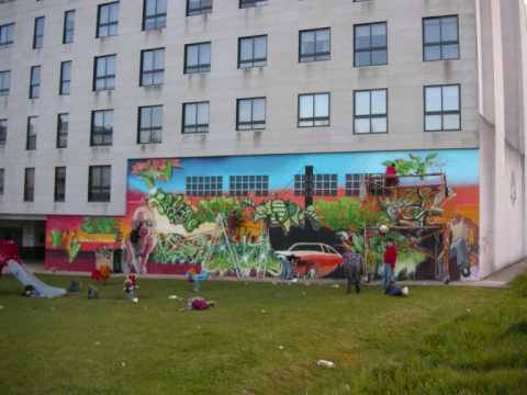 PASO A PASO EXIBICION VILABOA