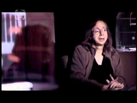 Matador de Passarinho - Rogerio Skylab entrevista Fátima Guedes