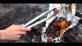 Camp Cookout: Roasting Chestnuts on an Open Fire