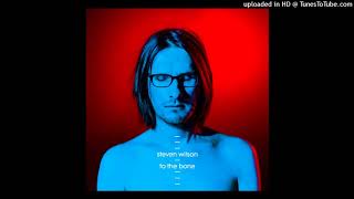 Steven Wilson - People Who Eat Darkness