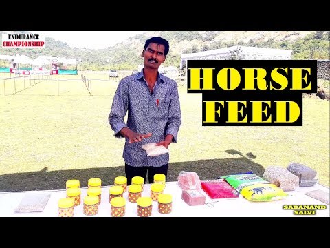 About horse feed