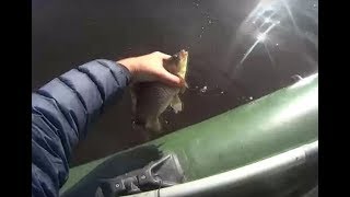 Ловля карася в холодной воде осенью какие тонкости