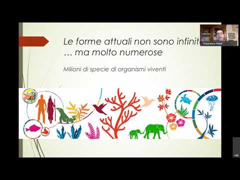 Guardando le api con gli occhi di Darwin - Prof. Francesco Nazzi