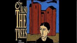 AND ALSO THE TREES - Sunrise
