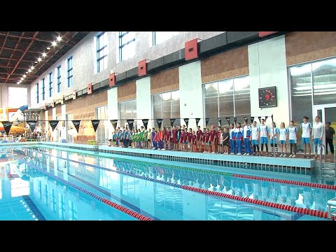 Краевое первенство по подводному спорту стартовало в Бийске ("Будни",30.10.25г. Бийское телевидение)