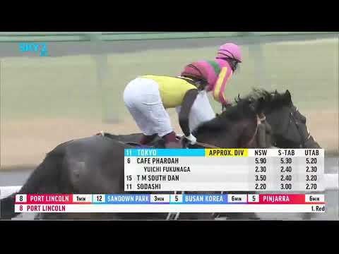 2022 JRA JAPAN February Stakes