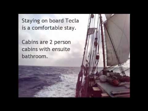 Tecla sailing around the world
