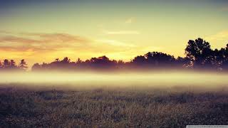 André Rieu - Walking in the Air (432,5 Hz) 1 photo