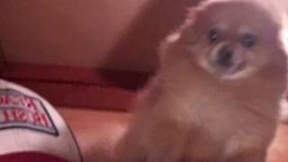 Kendrick Lamar- HUMBLE. (Remix)