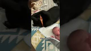 Miniature vidéo