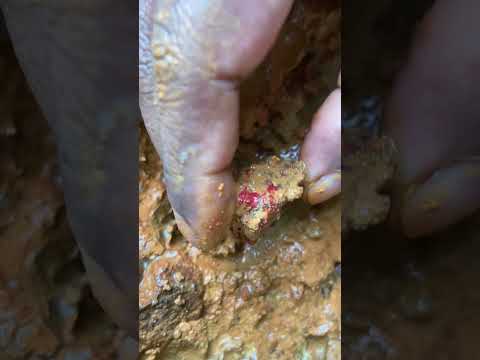 Red Diamond | The Rarest Diamond in the World #shorts #short #diamond #reddiamond #gemstones #gems