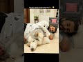Vijay Deverakonda N Rashmika Married Love Rashmikamandanna Bollywood Vijaydeverakonda Virosh