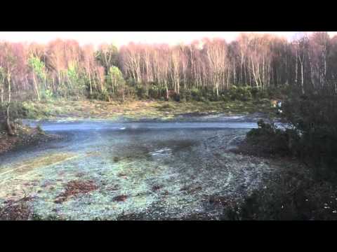 Clay pigeon shooting Bisley