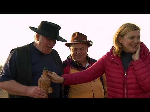 Gasztroangyal 41. rész - Nagykáta (2018)