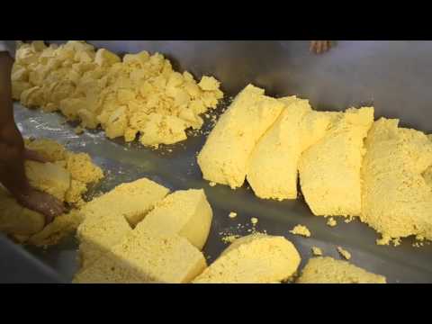 Rustic Cheese: Visit to Appleby's Cheesemakers