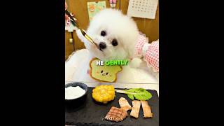 Download lagu This Dog Has the Sweetest Morning Routine 😍🐶 #shorts mp3