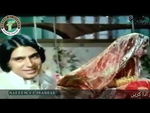 Dekh kar tujhko main ghum dil ke (jhankar)  film mehman