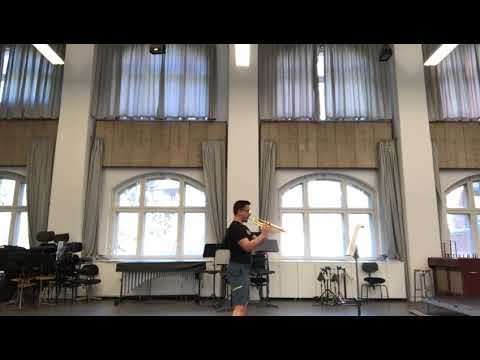An Alpine Symphony Trumpet Excerpt on Bb Trumpet