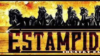 ESTAMPIDA COUNTRY BAND