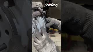 Rider