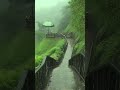 Barsat Ke Din Aaye Viral Video Status