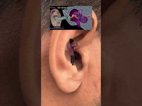 How Earphones Speaker Damage Our Ear #shorts #outofmind