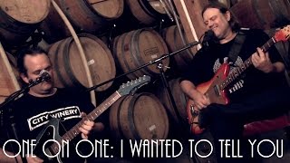 ONE ON ONE: Matthew Sweet  - I Wanted To Tell You July 18th, 2014 City Winery New York