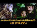 ఎలుగుబంటి దాడి ముందు దూకితే నూతిలో వ�
