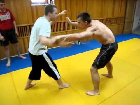 Roman Ryazanov vs Ivan Schetinin Grappling