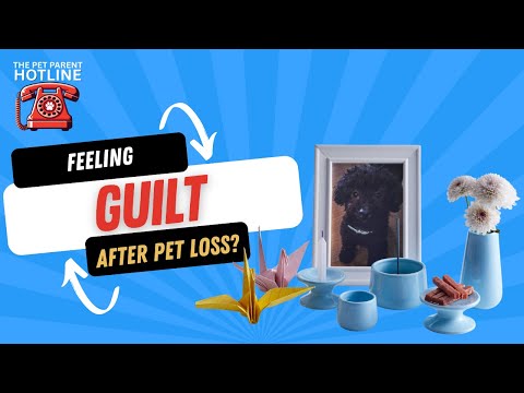 Pet Loss Guilt: How to Heal After "Did I Do Enough?" Decisions