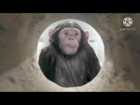 Wszystkie reklamy Serce i Rozum (HD)